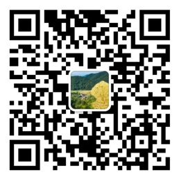 网信彩票-我的账户